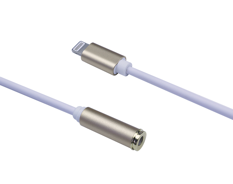 Lightning to Aux Cable Female